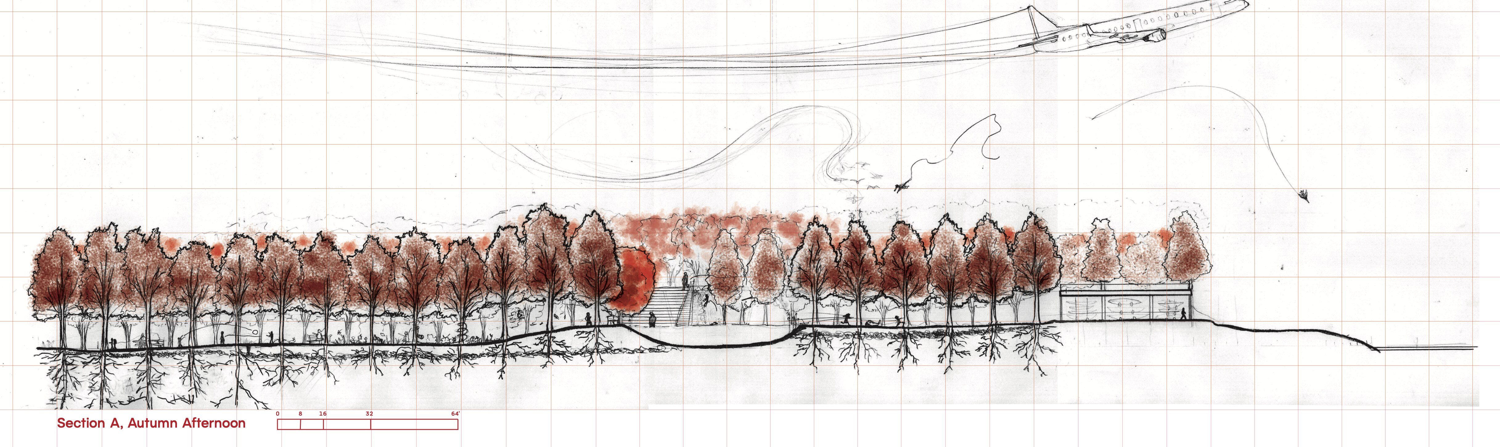 Section A, autumn afternoon
