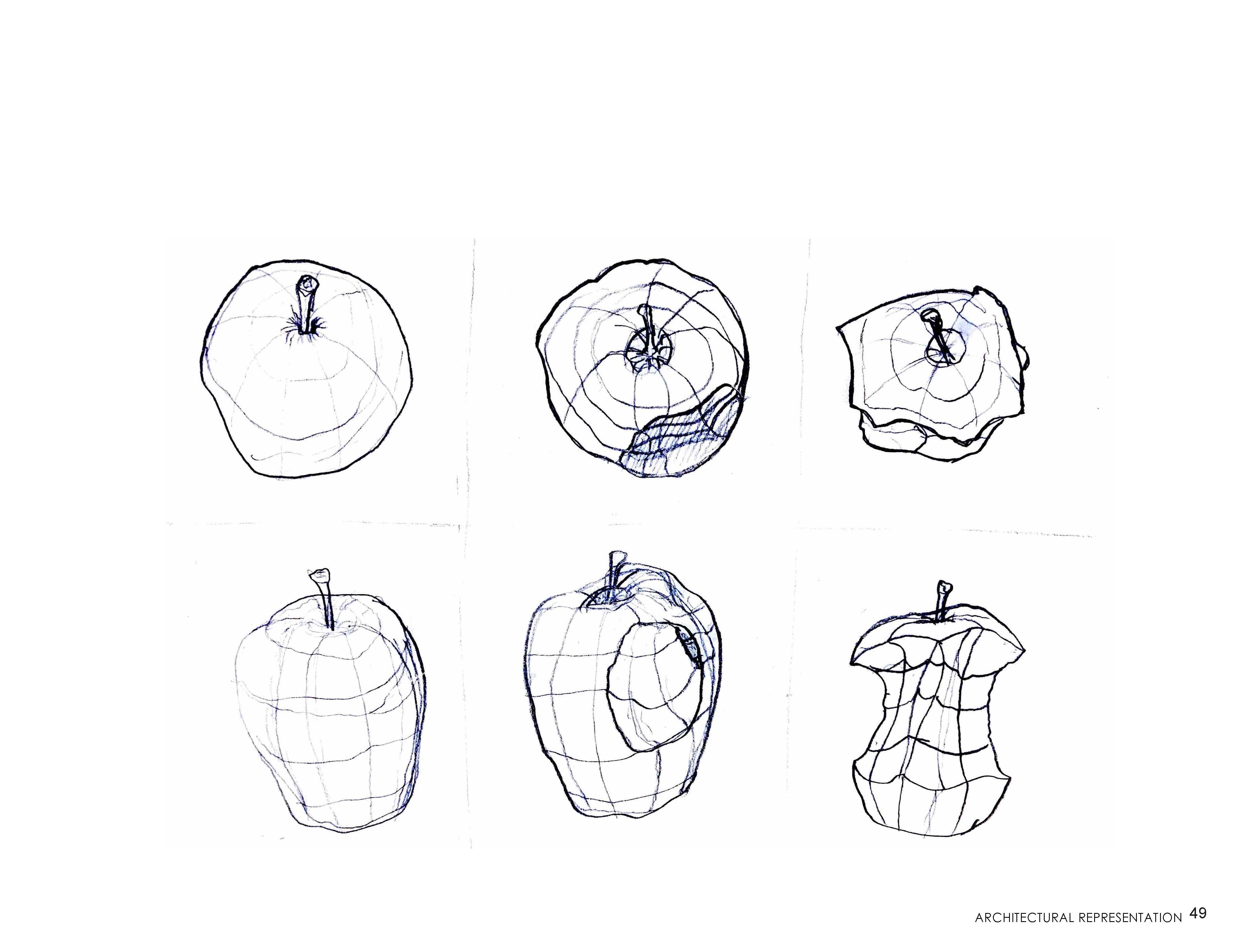 Gallery image 15